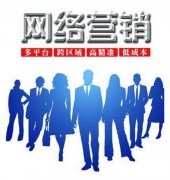 网络营销策划工作
