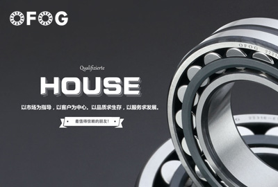 德国OFOG轴承品牌网站案例