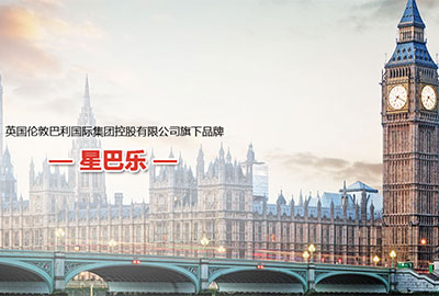 星巴乐纸尿裤品牌网站建设案例