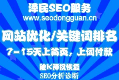 泽民SEO博客网站建设案例