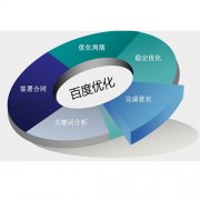SEO战略的绩效与构建