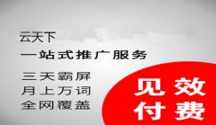 互联网网络推广到底该怎样去做_佛山seo,佛山网站优化