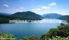 怎样的网络推广方式才能带来真实流量_佛山网络推广,佛山seo优化