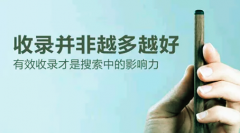 网站优化如何才能稳定收录_网站seo优化,佛山网络推广