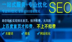 中小型企业做SEO网站优化哪些因素影响盈利赚钱？_网站seo优化,佛山seo优化