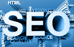 网站如何SEO操作会导致网站被降权_佛山网站优化,企业网站seo推广