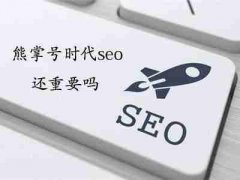 如果是新网站想加快SEO收录要怎么做_企业网站seo推广,佛山网络推广公司