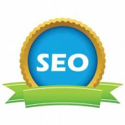 关键词SEO排名上去了怎么没用户_佛山网络推广公司,佛山seo优化